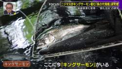 227702 B