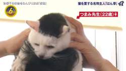 77562 B