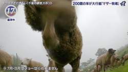 89570 B