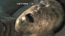 250274 B
