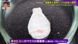 150593 B