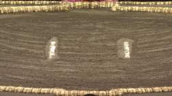 1416039 B