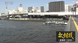 1167831 B