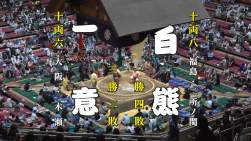 1556429 B