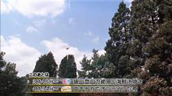 407426 B