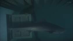 152468 B