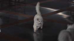 139829 B