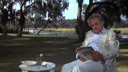 381806 B