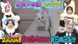 141108 B
