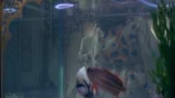206102 B