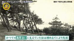 156123 B