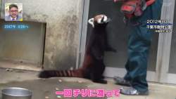 100279 B