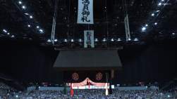 832981 B