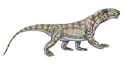 7358 B