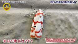 103080 B