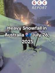 8017 B