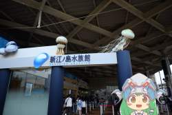 80234 B
