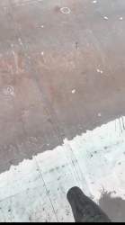 2489237 B