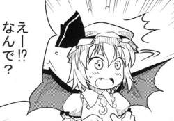 80594 B