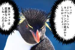 74530 B