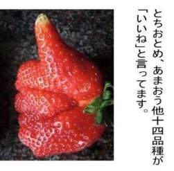 66228 B