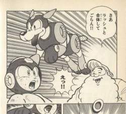 43377 B