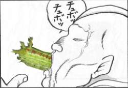 28947 B