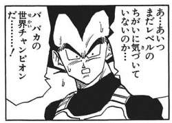 24445 B