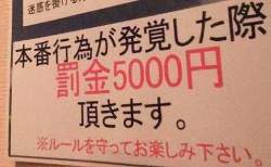 29075 B