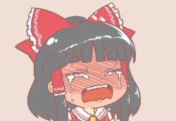 28954 B