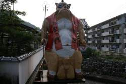 55572 B