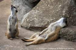 113571 B