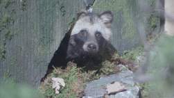 357724 B