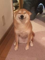 57559 B