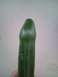 7729 B