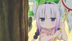 114291 B