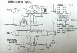 45024 B