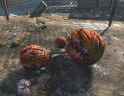 116474 B
