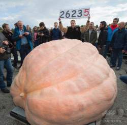 240037 B