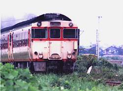 256616 B