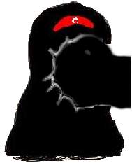 20913 B