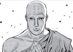 17206 B