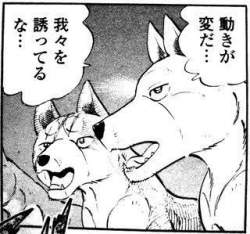 24579 B