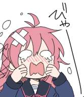 24439 B