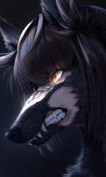 1094811 B