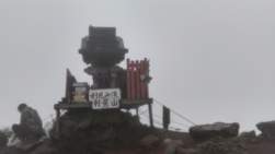 1239227 B