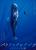 パトリックとクジラ 6000日の絆