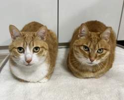 111627 B