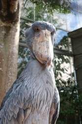 723677 B