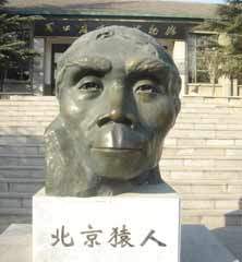 7353 B
